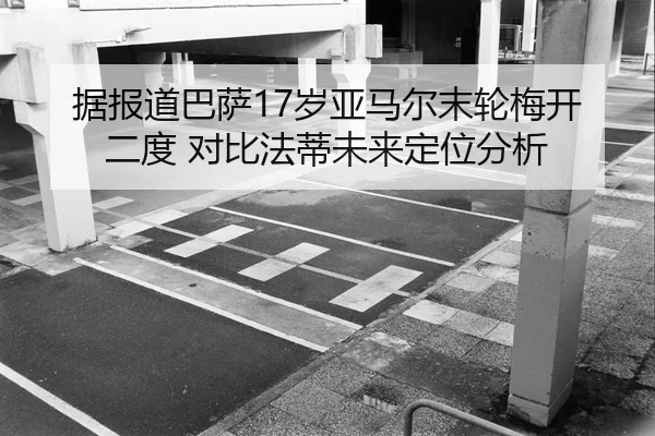 ju-bao-dao-ba-sa-sui-ya-ma-er-mo-lun-mei-kai-er-du-dui-bi-fa-di-wei-lai-ding-wei-fen-xi-2-404.jpg