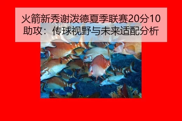 huo-jian-xin-xiu-xie-po-de-xia-ji-lian-sai-fen-zhu-gong-chuan-qiu-shi-ye-yu-wei-lai-shi-pei-fen-xi-2-895.jpg